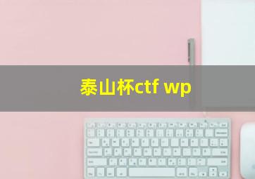 泰山杯ctf wp